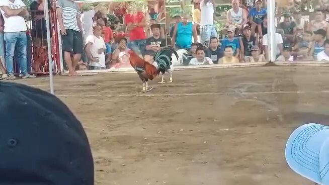olats