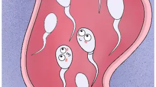 [Clip·MAD·Dubbing] The only and chosen one among all the sperm cells