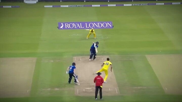 Top 10 Dumbest Moments in Cricket History _Cricket Alltime