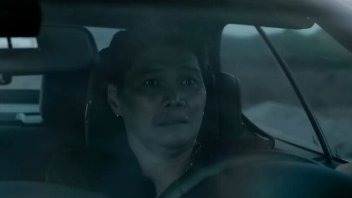 SALVAGELAND - 2025 720