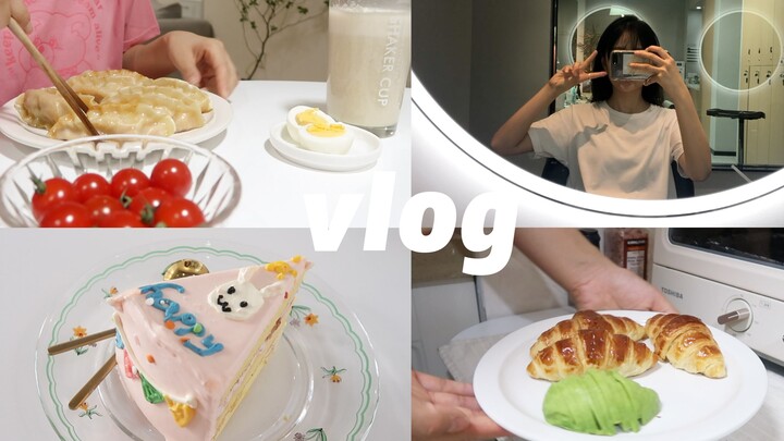 Winn | VLOG 91 | Daily Life as a Solo Dweller | A Working Professional’s Three Meals a Day | Rental 