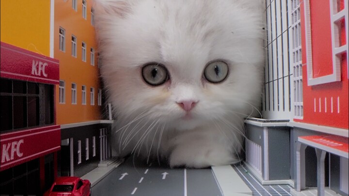 Nếu thế giới đã định phải diệt vong, xin hãy để Meowslà đến