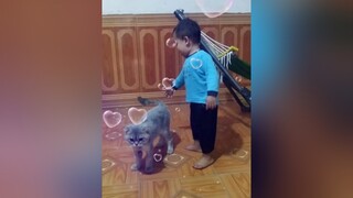 Dứa và Lu...yeucho yeuchomeo cún cúncon chó chómèo chócon chó_cưng chókhôn yeuchomeo cưng chócute pet dog catsoftiktok doggo mèo