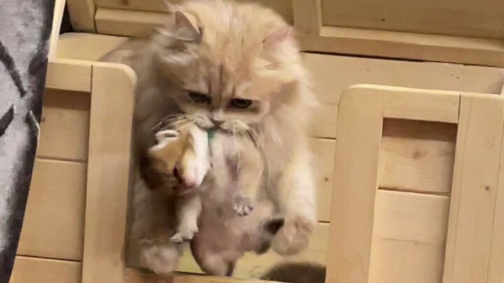 There's a kind of heat that only your mom thinks you're feeling.