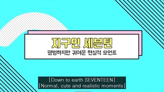 vlive