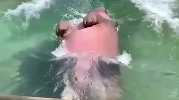 Tui~ Can still do backstroke!