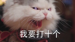 【敖弟】猫 : 干啥啥不行，打架第一名！【火影】