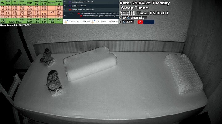 Sleep Stream 29.04.2025