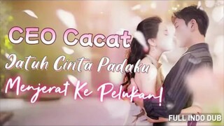 CEO cacat jatuh cinta pada manajer pribadinya