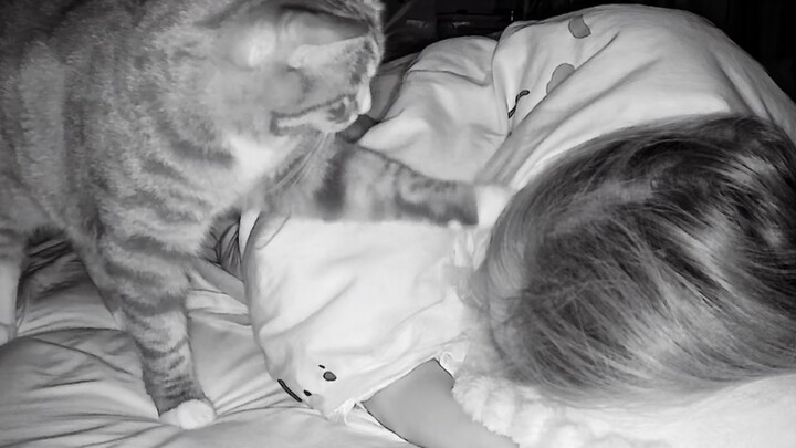 Hello, human! Nudge me.