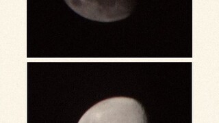 moon🫶🏻