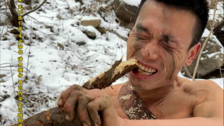 Wind and Snow on Mount Funiu