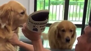 你打一下我娘俩就不活了