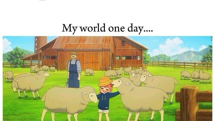 my only WANT's in life