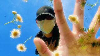 想到一个神奇的镜头