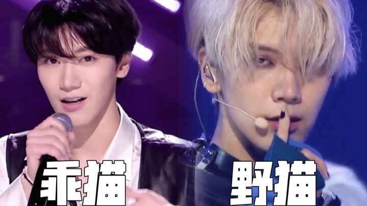 [Li Yongqin] Why Is There Such a Big Temperature Gap Between Chinese and Korean Makeup Looks?