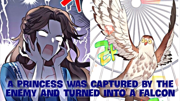 A Princess was captured by the enemy and turned into a Falcon