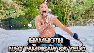 MAMMOTH NALIGO SA YELO