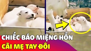 Bất lực với chiếc báo 'NHI ĐỒNG' suốt ngày 'CÃI TAY ĐÔI' với mẹ của mình 😅 Gâu Đần