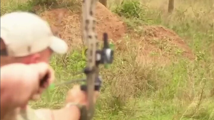 This time, it's solid!