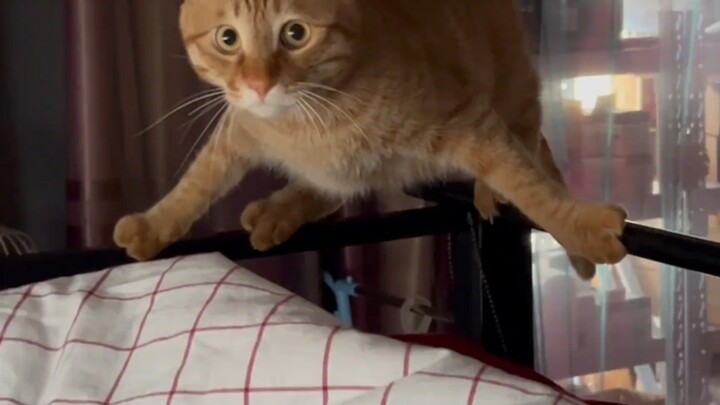 Kaget banget, kamu lagi latih jurus pamungkas dari aliran tertentu?