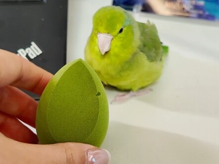 لا تضع إسفنجة المكياج قريبًا جدًا أبدًا!