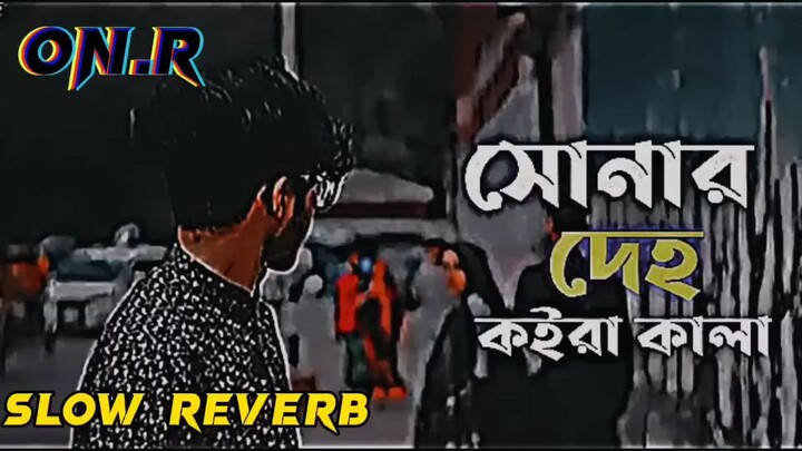 সোনার দেহ পইড়া কালা লু