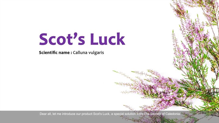 Scot's Luck (ENG)_TSOC