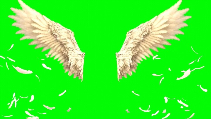 แชร์วัตถุดิบฉากเขียวเอฟเฟกต์ปีกความละเอียดสูง