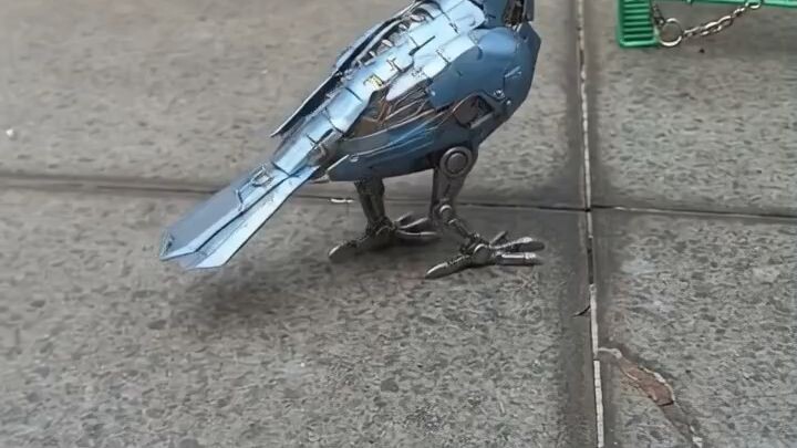 bird