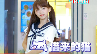 Ziqiao, there's no time to explain. The borrowed cat can dance. Come and see for yourself...｜HD came