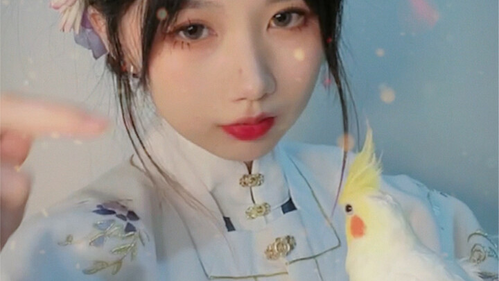 You spend a thousand days raising a bird, only to use it for a single moment—screw it… forget it.