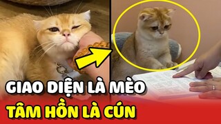 Cô Sen vạch trần SỰ THẬT về Cậu Vàng nhà mình không thương tiếc 😂 | Yêu Lu