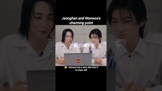 This Man duo's charming point 😺😇 #seventeen #jeonghan #wonwoo