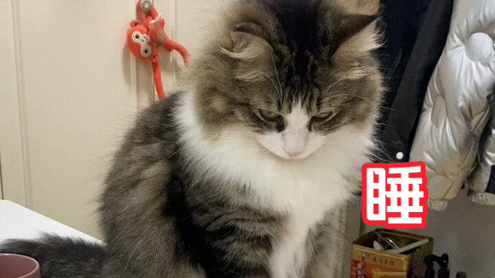 ابني البالغ من العمر 3 سنوات ما زال ينام معي! هذا يزعجني حقًا!