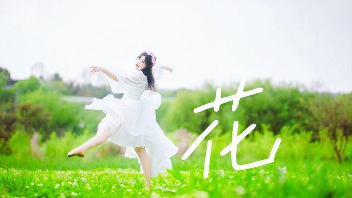 ดอกไม้ ฟีท. ผลิบานอย่างเต็มที่ 【เหมียวปู้แยม | เต้นสร้างสรรค์เอง】