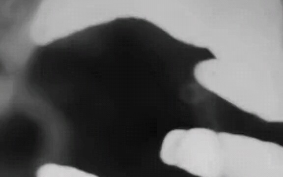 دورة مكثفة لتعلم مايكل جاكسون