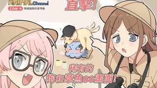 笑了你就要看一辈子人寿的【少女乐队Memes】#18