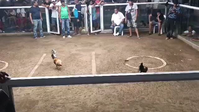 super bulik🤘🏻🤘🏻