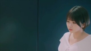 Qidianzaki Ruigui VS Jinjiangzaki Ruigui VS Haitangzaki Ruigui
