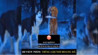 Tóm tắt phim: Tiếng gọi nơi hoang dã #reviewphimhay