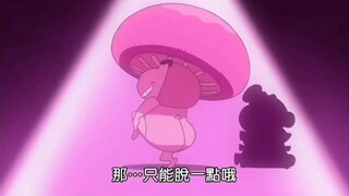 香菇小新闪亮登场