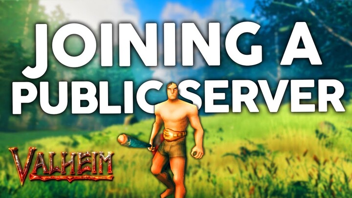 I Joined A Public Server In Valheim