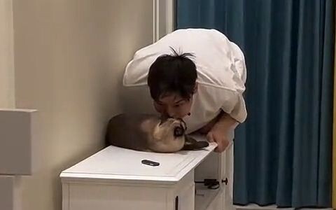 Kondisi mental kucing begitu stabil hingga membuat orang iba