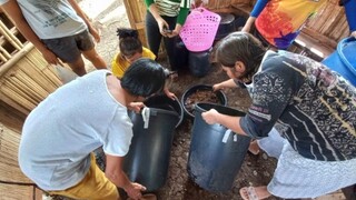 日子本就是一首长诗，无需斟酌，就已经够曲折婉转。 花会开、云会散、蝶会来……就像一只蝴蝶飞过废墟…