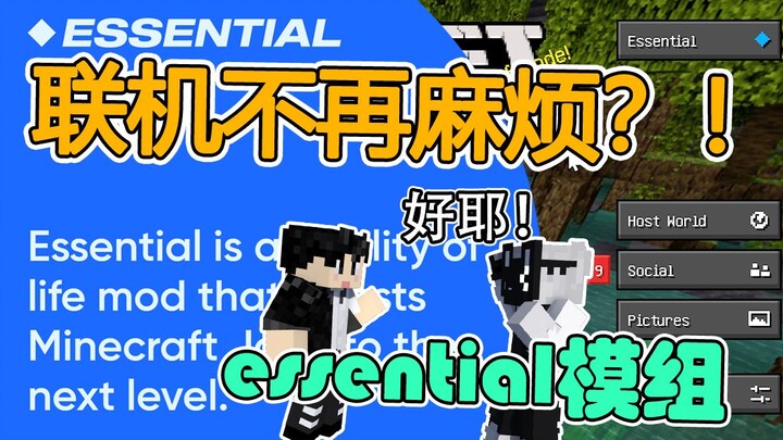 Chơi online cuối cùng cũng không còn rắc rối nữa?! Sử dụng mod Essential để chơi online