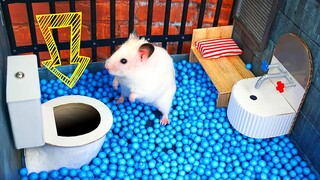 🐹 Hamster Escapes the  Creative Maze for Pets in real life 🐹 in Hamster Stories