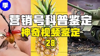 [Identifikasi Populer] Apakah merendam nanas dalam air garam benar-benar efektif? Apakah serangga ya