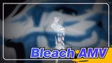 [Bleach AMV] As High as You Can Go, Echoing Through Every Corner of the Distance