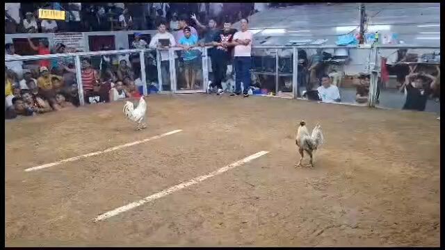 Fantastic Dome In action